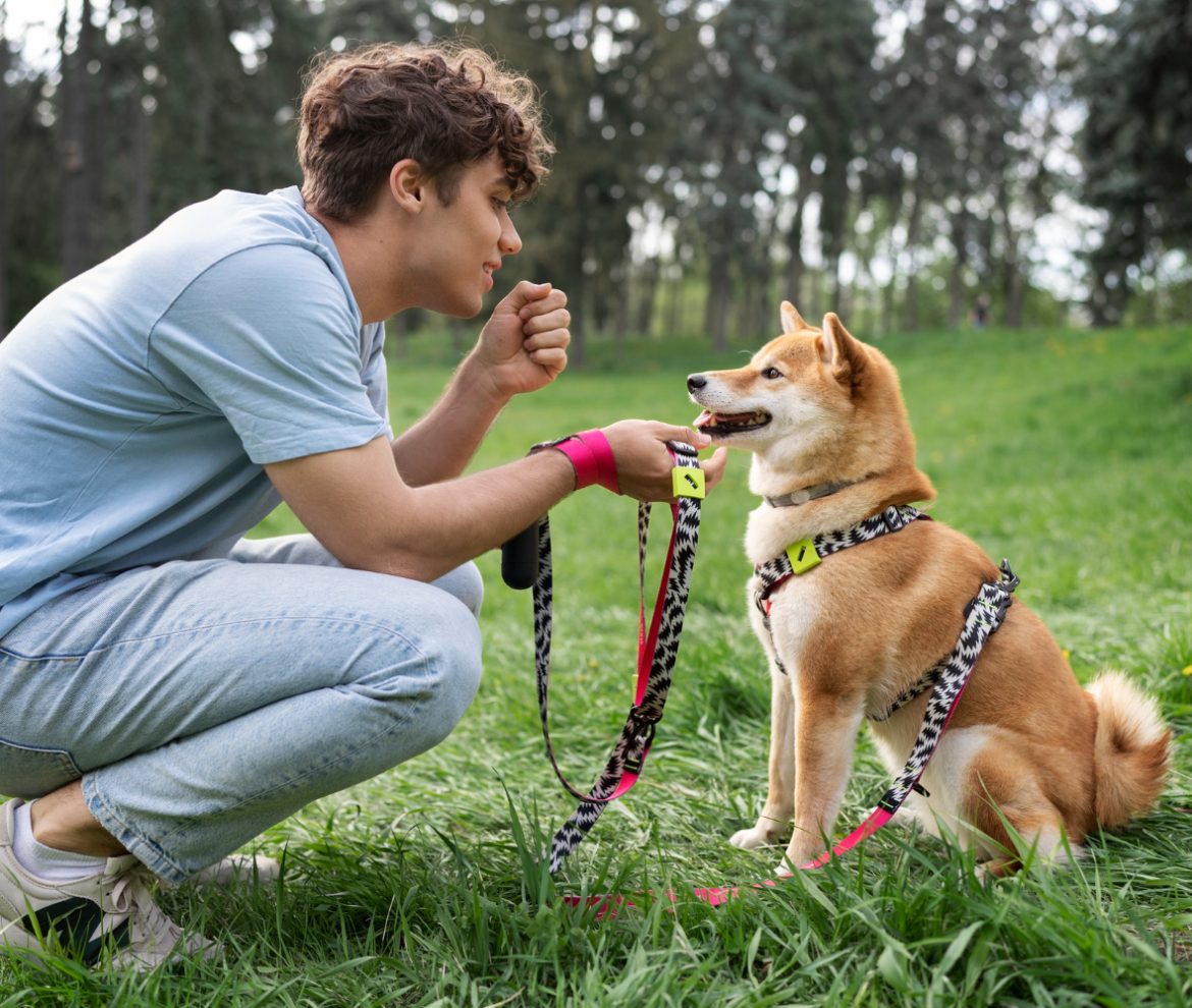 Clínica Veterinaria en Panamá | Megavet PTY